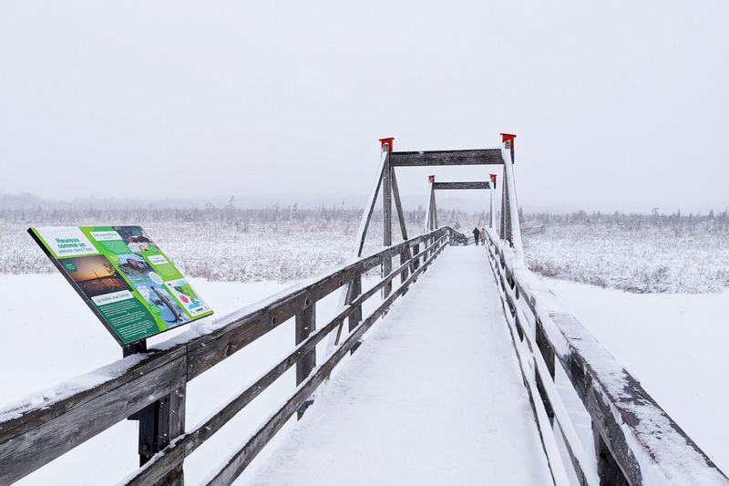 Début de la phase 2 des travaux au Marais de la Rivière-aux-Cerises à Magog